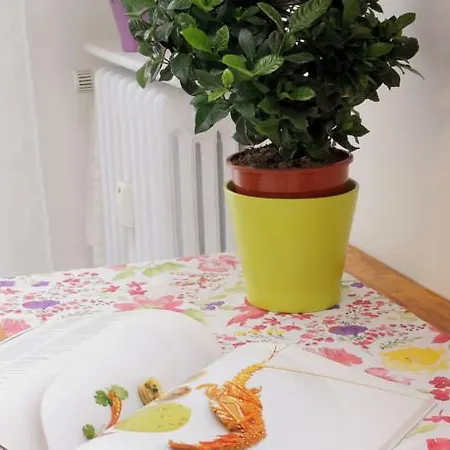 Collazia Halldis Apartment 아파트